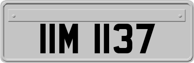 IIM1137