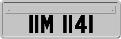 IIM1141