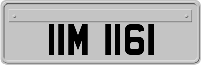 IIM1161