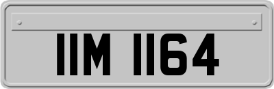 IIM1164