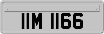 IIM1166