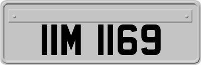 IIM1169