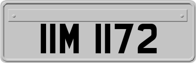 IIM1172