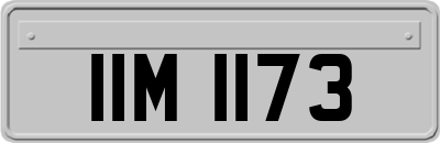 IIM1173