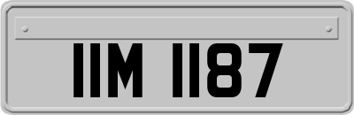 IIM1187