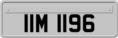 IIM1196