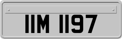 IIM1197