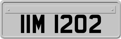 IIM1202