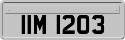 IIM1203