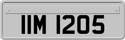 IIM1205