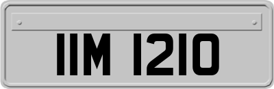 IIM1210