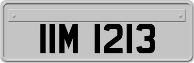 IIM1213