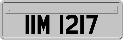 IIM1217