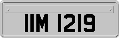 IIM1219