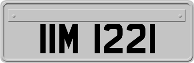 IIM1221