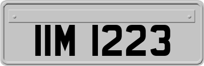 IIM1223