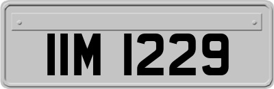 IIM1229