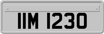 IIM1230