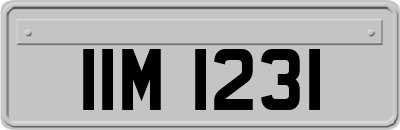 IIM1231