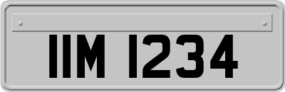 IIM1234