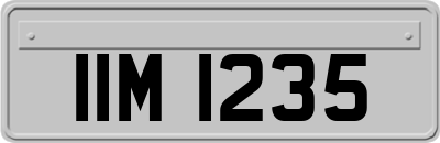 IIM1235