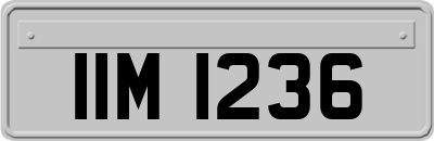 IIM1236