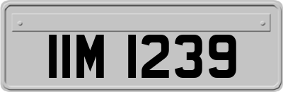 IIM1239
