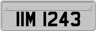 IIM1243