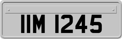 IIM1245