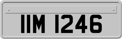IIM1246
