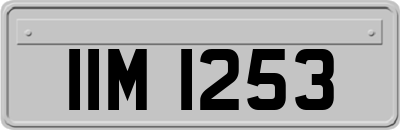 IIM1253