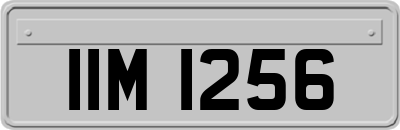 IIM1256
