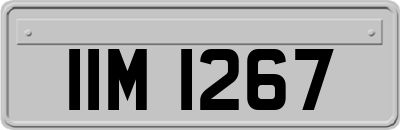 IIM1267