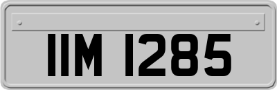 IIM1285
