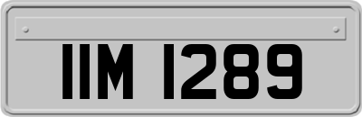 IIM1289