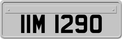 IIM1290