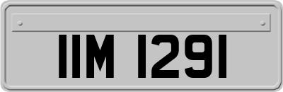 IIM1291
