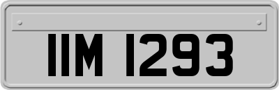 IIM1293