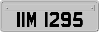 IIM1295