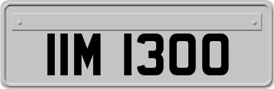 IIM1300