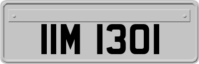 IIM1301