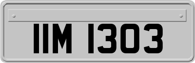 IIM1303