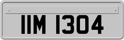 IIM1304
