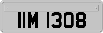 IIM1308