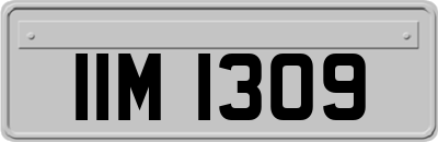 IIM1309