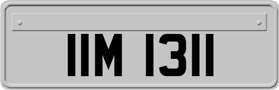 IIM1311