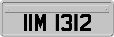 IIM1312