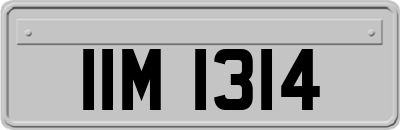 IIM1314