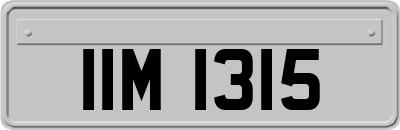 IIM1315