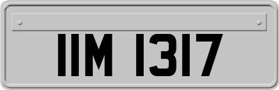 IIM1317